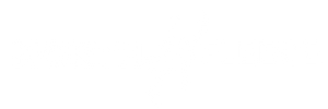 North fleece logo